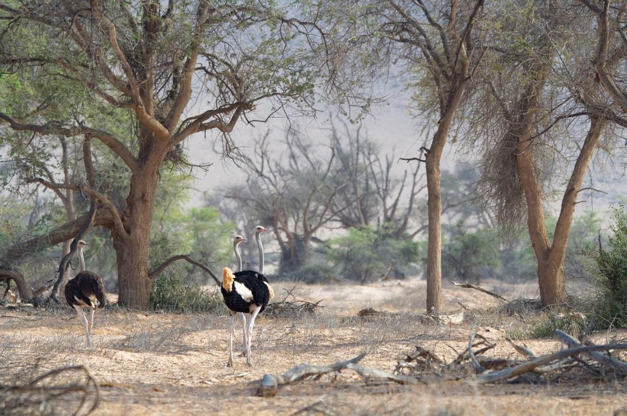 Wilderness Safaris Doro Nawas Villa Twyfelfontein Esterno foto