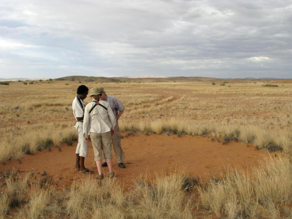 Wilderness Safaris Doro Nawas Villa Twyfelfontein Esterno foto
