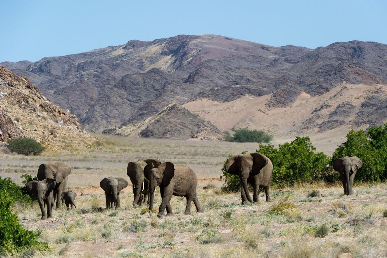 Wilderness Safaris Doro Nawas Villa Twyfelfontein Esterno foto